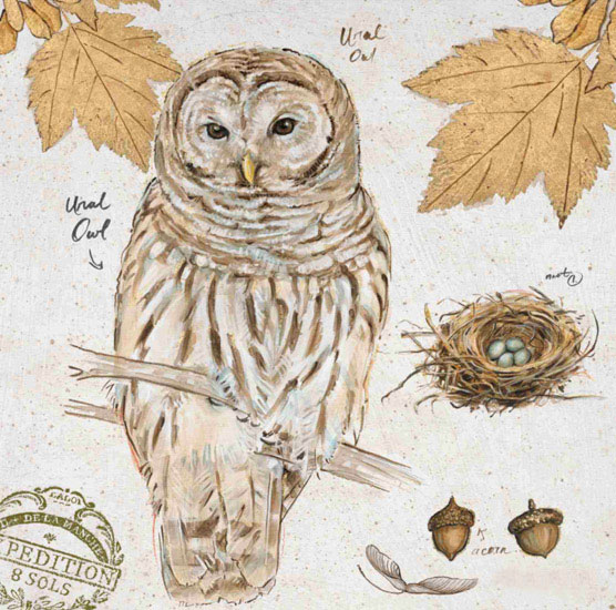 Kompatibelt Fortfarande liv till Jahrriesnge owl-lpf00192  Kompatibelt Fortfarande liv Jahrriesnge  till owl-lpf00192