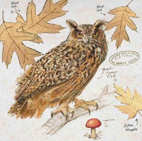 Kompatibelt Fortfarande liv till Jahrriesnge owl-lpf00193  Kompatibelt Fortfarande liv Jahrriesnge  till owl-lpf00193
