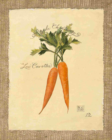Kompatibelt Fortfarande liv till Jahrriesnge carrot-lpf00284  Kompatibelt Fortfarande liv Jahrriesnge  till carrot-lpf00284