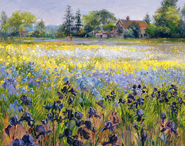 Kompatibelt Landskap till JAHRRIESNGE flower-field-lpf02501  Kompatibelt Landskap JAHRRIESNGE  till flower-field-lpf02501