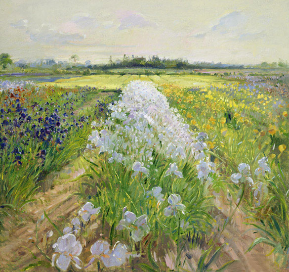 Kompatibelt Landskap till JAHRRIESNGE flower-field-lpf02504  Kompatibelt Landskap JAHRRIESNGE  till flower-field-lpf02504