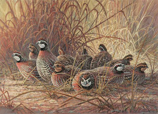 Kompatibelt djur till Jahrriesnge pheasant-lpf02525  Kompatibelt djur Jahrriesnge  till pheasant-lpf02525