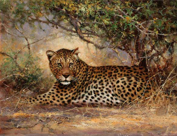 Kompatibelt djur till Jahrriesnge Leopard-lpf02547  Kompatibelt djur Jahrriesnge  till Leopard-lpf02547