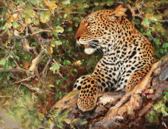 Kompatibelt djur till Jahrriesnge leopard-lpf02565  Kompatibelt djur Jahrriesnge  till leopard-lpf02565