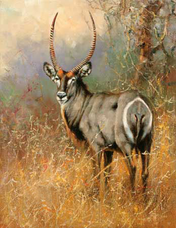 Kompatibelt djur till Jahrriesnge antelope-lpf02568  Kompatibelt djur Jahrriesnge  till antelope-lpf02568