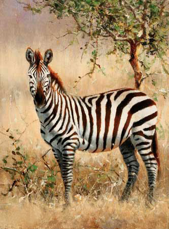Kompatibelt djur till Jahrriesnge zebra-lpf02570  Kompatibelt djur Jahrriesnge  till zebra-lpf02570