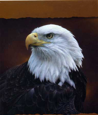 Kompatibelt djur till Jahrriesnge sea-eagle-lpf02575  Kompatibelt djur Jahrriesnge  till sea-eagle-lpf02575