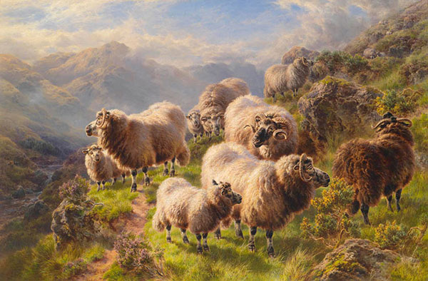 Kompatibelt djur till Jahrriesnge karakul-sheep-lpf02617  Kompatibelt djur Jahrriesnge  till karakul-sheep-lpf02617
