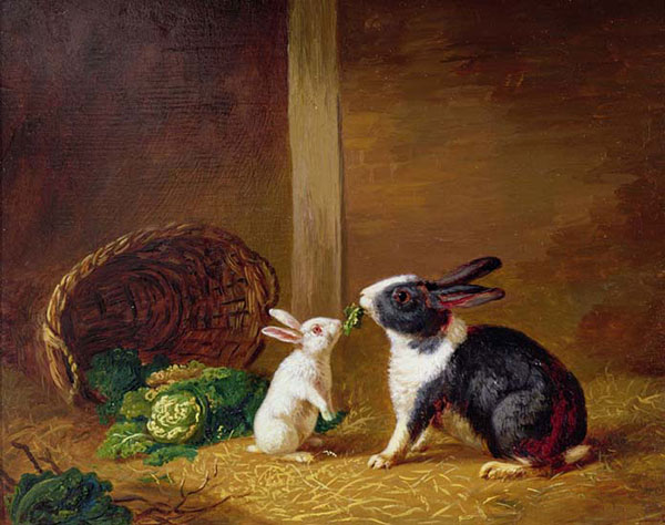 Kompatibelt djur Jahrriesnge  till rabbit-lpf02630 