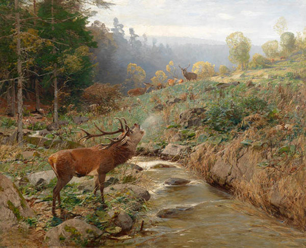 Kompatibelt djur till Jahrriesnge red-deer-lpf02654  Kompatibelt djur Jahrriesnge  till red-deer-lpf02654