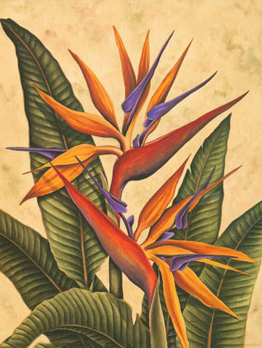 Kompatibelt Blommig till Jahrriesnge bird of paradise flower lpf04605  Kompatibelt Blommig Jahrriesnge  till bird of paradise flower lpf04605