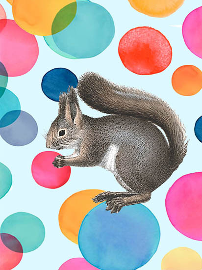 Kompatibelt djur till Jahrriesnge squirrel lpf08643  Kompatibelt djur Jahrriesnge  till squirrel lpf08643