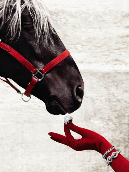 Kompatibelt djur till Jahrriesnge horse lpf08645  Kompatibelt djur Jahrriesnge  till horse lpf08645