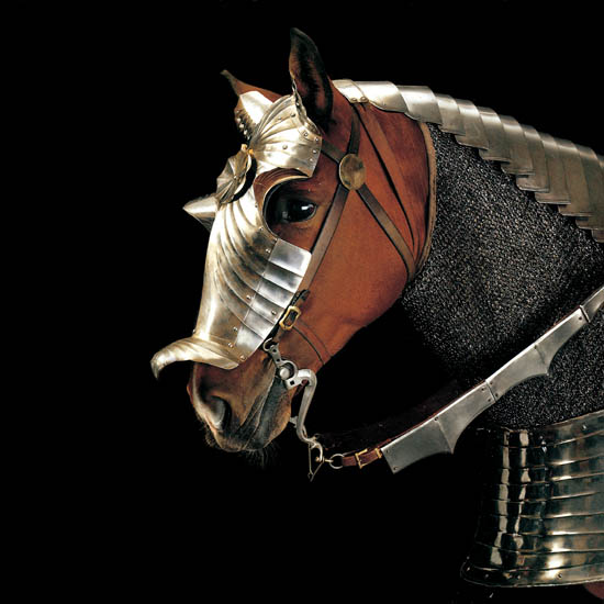 Kompatibelt djur till Jahrriesnge horse lpf08672  Kompatibelt djur Jahrriesnge  till horse lpf08672