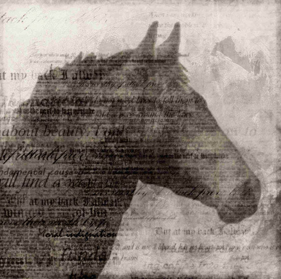 Kompatibelt Porträtt till Jahrriesnge horse lpf10529  Kompatibelt Porträtt Jahrriesnge  till horse lpf10529