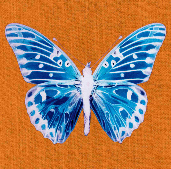 Kompatibelt djur till Jahrriesnge butterfly lpf10548  Kompatibelt djur Jahrriesnge  till butterfly lpf10548