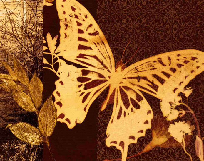 Kompatibelt djur till Jahrriesnge butterfly lpf10559  Kompatibelt djur Jahrriesnge  till butterfly lpf10559