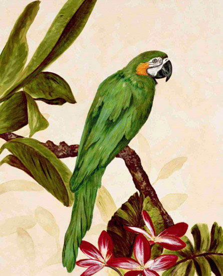 Kompatibelt djur till Jahrriesnge macaw lpf10596  Kompatibelt djur Jahrriesnge  till macaw lpf10596