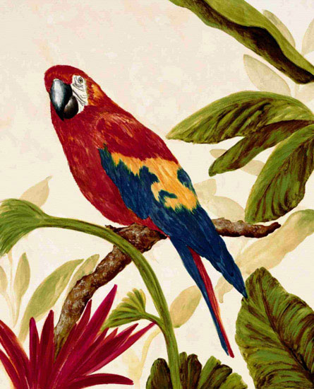 Kompatibelt djur till Jahrriesnge macaw lpf10597  Kompatibelt djur Jahrriesnge  till macaw lpf10597