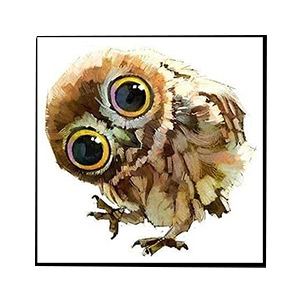 Kompatibelt djur till Jahrriesnge owl-lpg0514  Kompatibelt djur Jahrriesnge  till owl-lpg0514