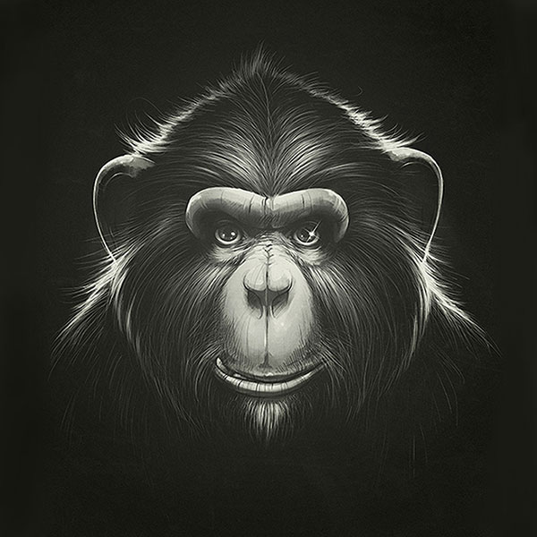 Kompatibelt djur till Jahrriesnge monkey-lpg0531  Kompatibelt djur Jahrriesnge  till monkey-lpg0531