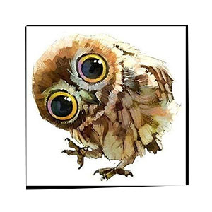Kompatibelt djur till Jahrriesnge owl-lpg1569  Kompatibelt djur Jahrriesnge  till owl-lpg1569